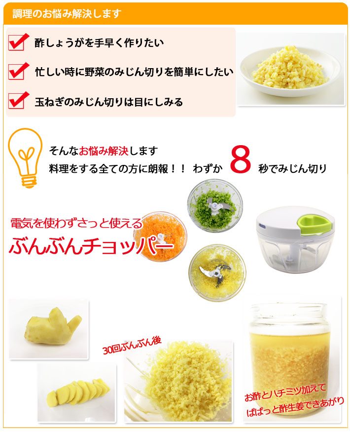 ぶんぶんチョッパー お悩み解決 酢しょうが作り