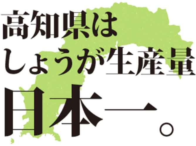 高知県は生姜生産量日本一。