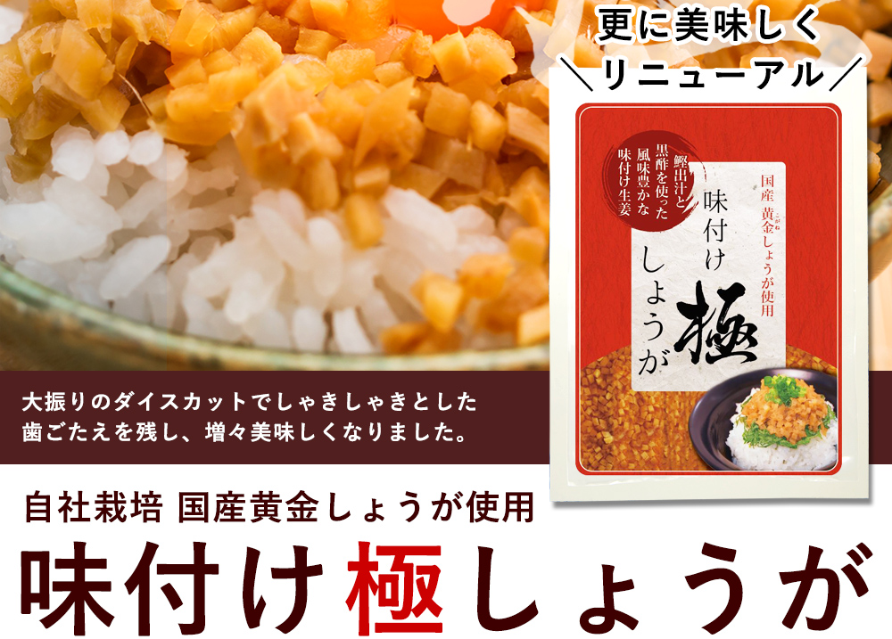 味付け極しょうが 110g ご飯に一度かけるとやみつきになること間違いなし！